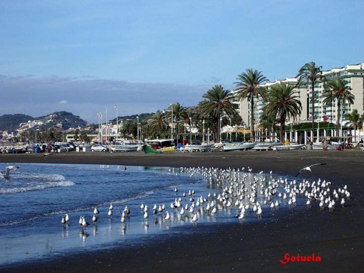 Apartamento El Dorado Cerca Del Mar Malaga Bagian luar foto